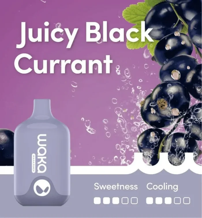 WAKA SMASH JUICY BLACK CURRANT – 6000 PUFFS